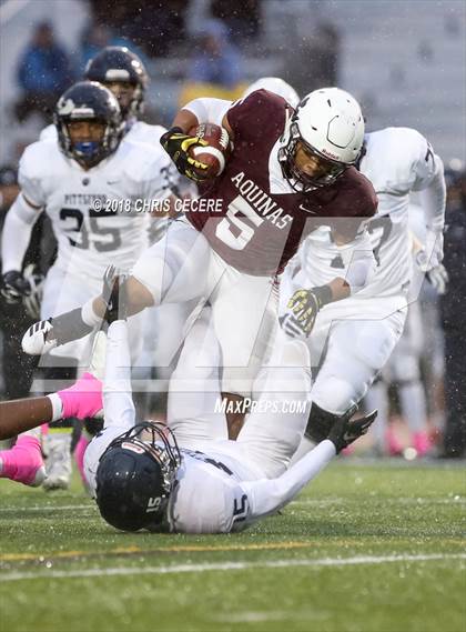 Thumbnail 2 in Pittsford vs. Aquinas Institute (Section 5 Class AA Semifinal) photogallery.