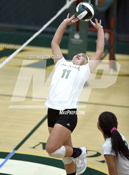 Thumbnail 3 in Temecula Valley vs Long Beach Poly (Dave Mohs Tournament) photogallery.