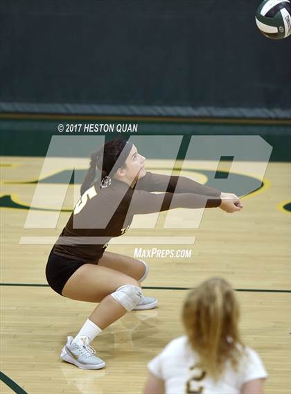 Thumbnail 1 in Temecula Valley vs Long Beach Poly (Dave Mohs Tournament) photogallery.