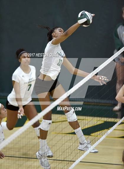 Thumbnail 3 in Temecula Valley vs Long Beach Poly (Dave Mohs Tournament) photogallery.