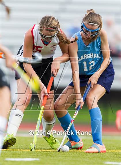 Thumbnail 3 in Marshall @ McLean photogallery.