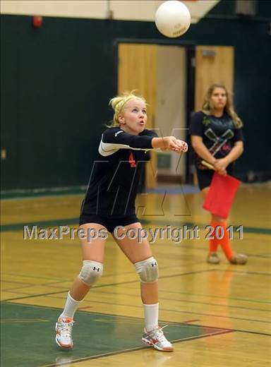 null - Photo 51