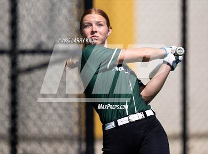 Thumbnail 1 in Homestead @ Milpitas photogallery.