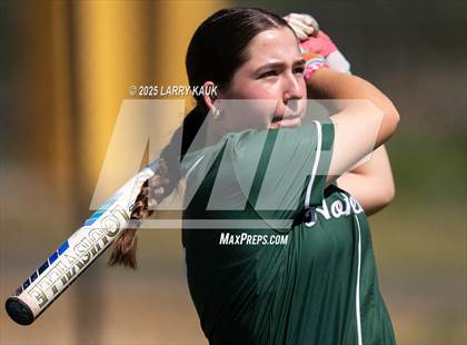 Thumbnail 2 in Homestead @ Milpitas photogallery.