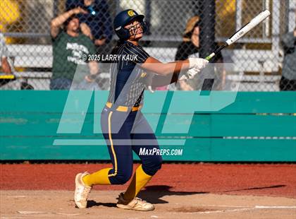 Thumbnail 3 in Homestead @ Milpitas photogallery.