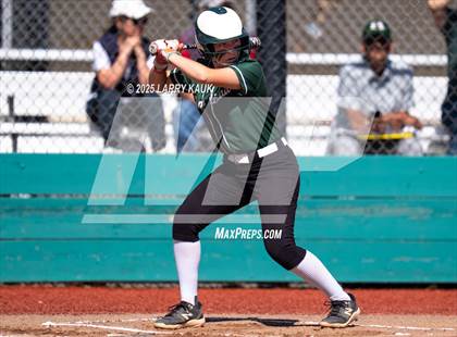 Thumbnail 1 in Homestead @ Milpitas photogallery.