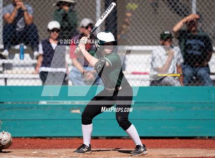 Thumbnail 3 in Homestead @ Milpitas photogallery.
