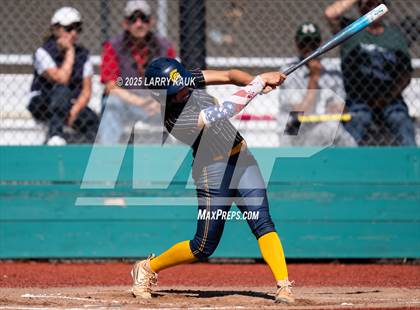 Thumbnail 3 in Homestead @ Milpitas photogallery.