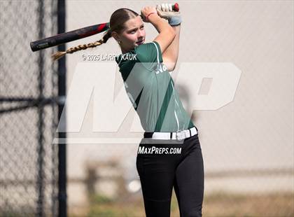 Thumbnail 3 in Homestead @ Milpitas photogallery.