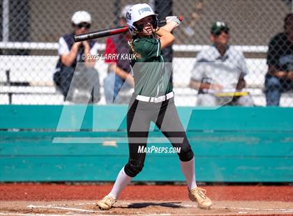Thumbnail 3 in Homestead @ Milpitas photogallery.