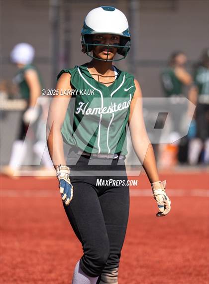 Thumbnail 1 in Homestead @ Milpitas photogallery.