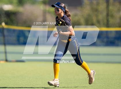 Thumbnail 1 in Homestead @ Milpitas photogallery.