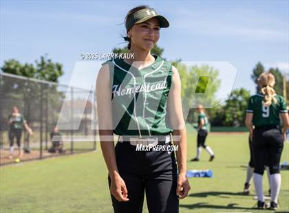 Thumbnail 3 in Homestead @ Milpitas photogallery.