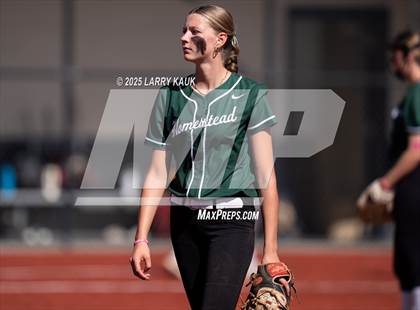 Thumbnail 2 in Homestead @ Milpitas photogallery.