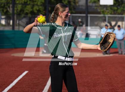 Thumbnail 3 in Homestead @ Milpitas photogallery.