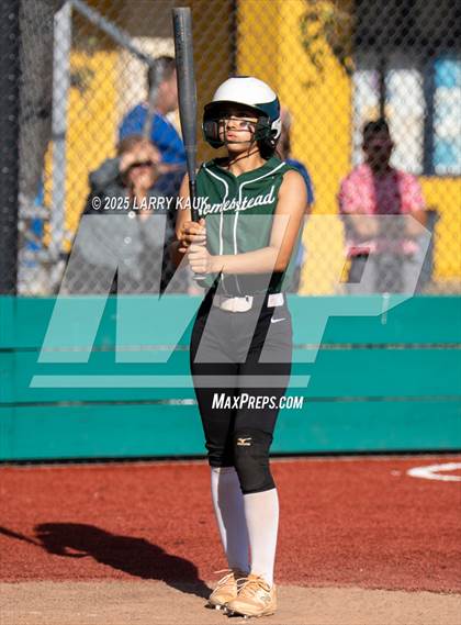 Thumbnail 3 in Homestead @ Milpitas photogallery.