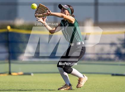 Thumbnail 3 in Homestead @ Milpitas photogallery.