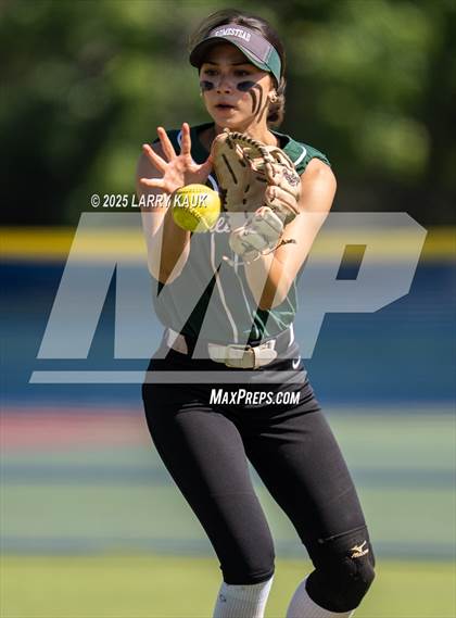 Thumbnail 2 in Homestead @ Milpitas photogallery.