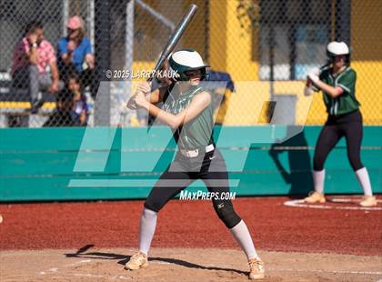 Thumbnail 1 in Homestead @ Milpitas photogallery.