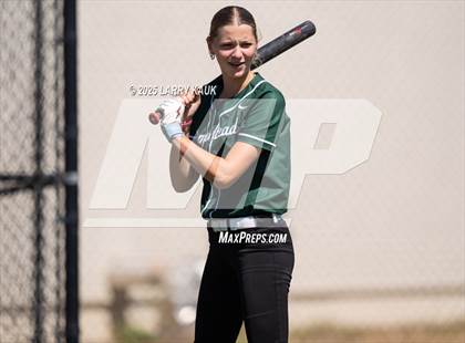 Thumbnail 1 in Homestead @ Milpitas photogallery.