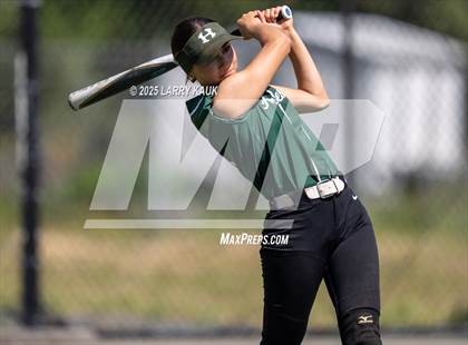 Thumbnail 3 in Homestead @ Milpitas photogallery.