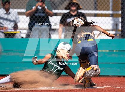 Thumbnail 1 in Homestead @ Milpitas photogallery.