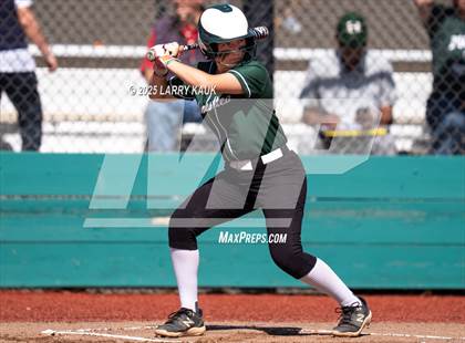 Thumbnail 1 in Homestead @ Milpitas photogallery.