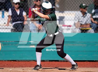 Thumbnail 1 in Homestead @ Milpitas photogallery.