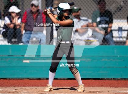 Thumbnail 3 in Homestead @ Milpitas photogallery.