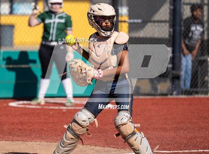 Thumbnail 1 in Homestead @ Milpitas photogallery.