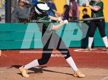 Thumbnail 2 in Homestead @ Milpitas photogallery.