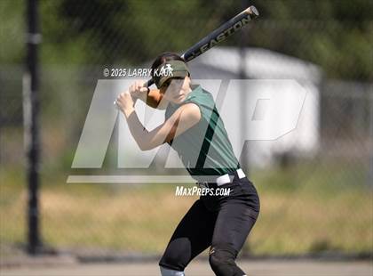 Thumbnail 2 in Homestead @ Milpitas photogallery.