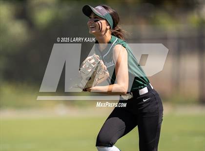 Thumbnail 1 in Homestead @ Milpitas photogallery.