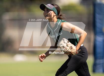 Thumbnail 3 in Homestead @ Milpitas photogallery.