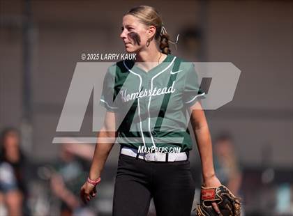 Thumbnail 3 in Homestead @ Milpitas photogallery.