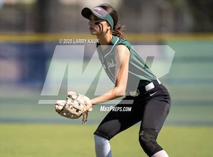 Thumbnail 2 in Homestead @ Milpitas photogallery.