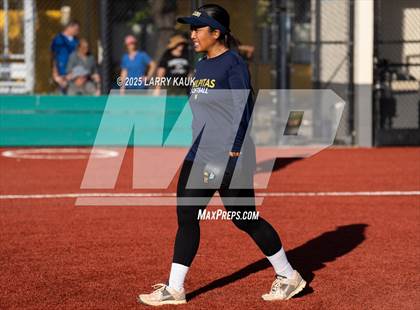 Thumbnail 3 in Homestead @ Milpitas photogallery.