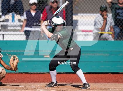 Thumbnail 2 in Homestead @ Milpitas photogallery.