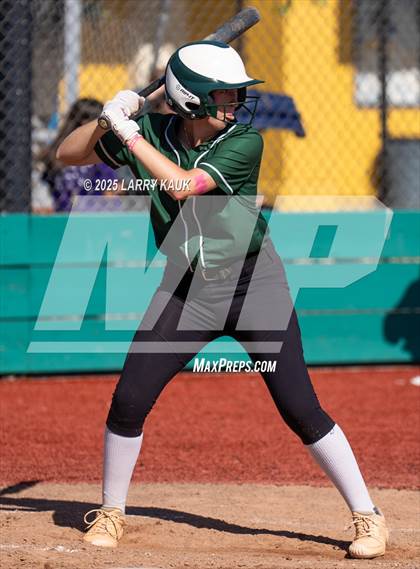 Thumbnail 3 in Homestead @ Milpitas photogallery.