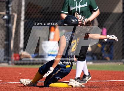 Thumbnail 2 in Homestead @ Milpitas photogallery.