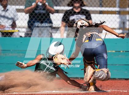Thumbnail 2 in Homestead @ Milpitas photogallery.