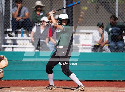 Thumbnail 1 in Homestead @ Milpitas photogallery.