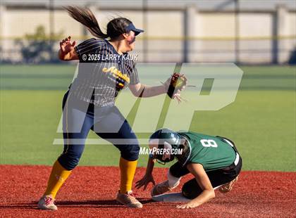 Thumbnail 1 in Homestead @ Milpitas photogallery.