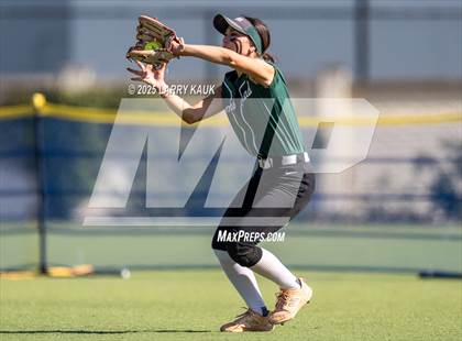 Thumbnail 1 in Homestead @ Milpitas photogallery.