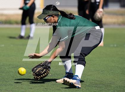 Thumbnail 1 in Homestead @ Milpitas photogallery.