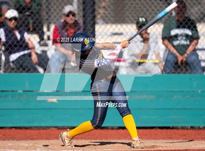 Thumbnail 3 in Homestead @ Milpitas photogallery.
