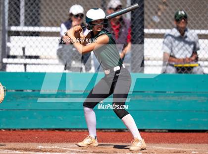 Thumbnail 3 in Homestead @ Milpitas photogallery.