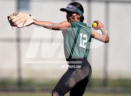 Thumbnail 1 in Homestead @ Milpitas photogallery.
