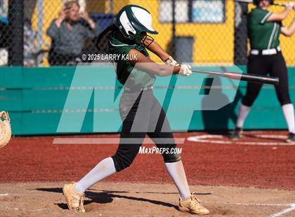 Thumbnail 3 in Homestead @ Milpitas photogallery.