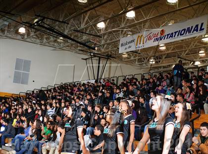 Thumbnail 1 in Pasadena Memorial vs. Madison (McDonald's Texas Invitational) photogallery.